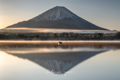 DSC_3842-Edit-のコピー