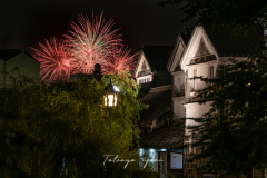 DSC_1542-のコピー