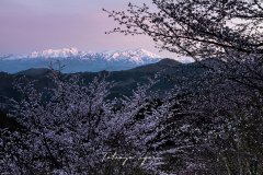 DSC_5074-Edit-のコピー